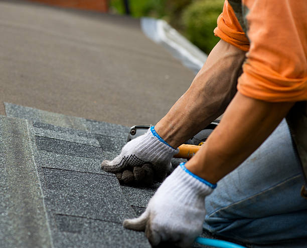 Best Roof Maintenance Services  in Jerome, IL