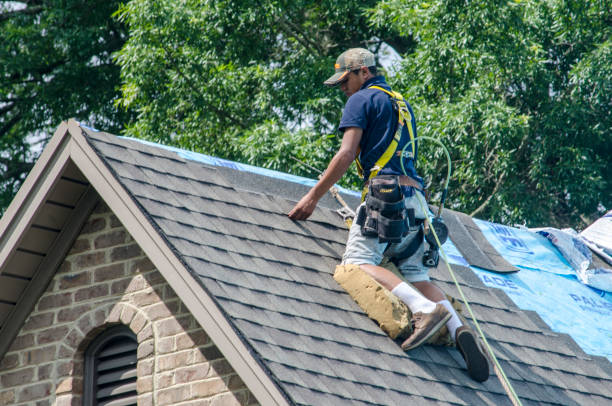 Best Metal Roofing Contractor  in Jerome, IL